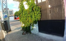Parra Virgen